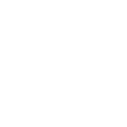 ZTECHSEO Logo